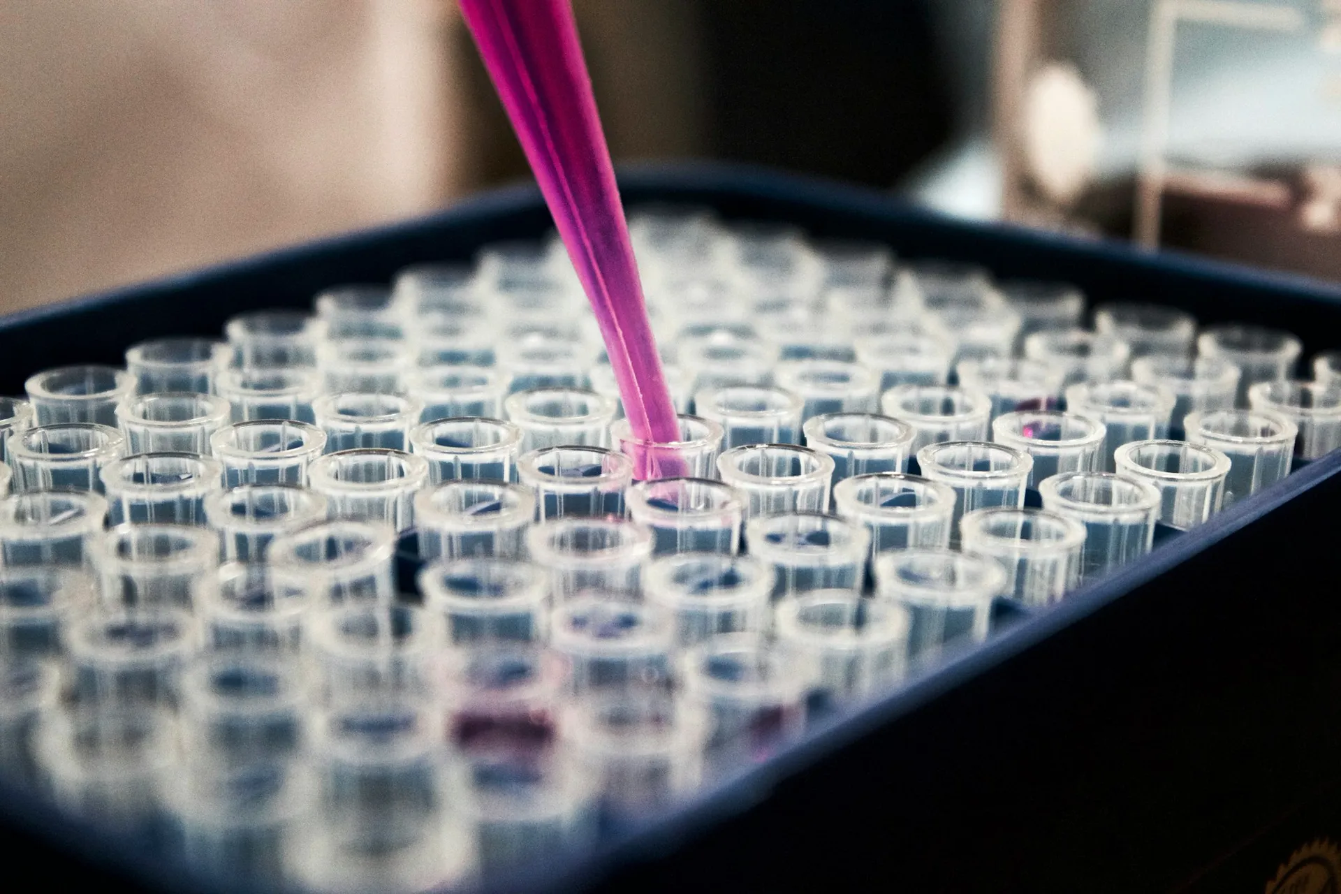 A pipette dispensing liquid into a tray of sample vials in a laboratory